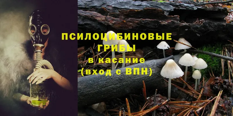 Галлюциногенные грибы Psilocybine cubensis  MEGA рабочий сайт  Уяр 